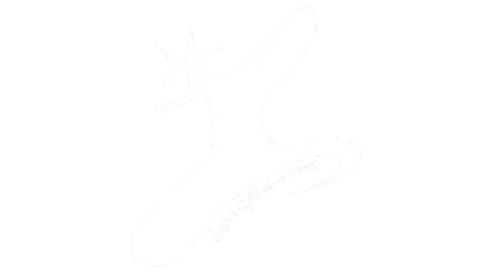 TB Magic Dark JL Magic Logo